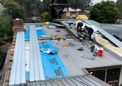 Roofers laying new metal roof sheets over blue sarking