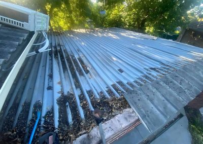 Old corrugated roof sheets with leaves and debris built up along the gutter